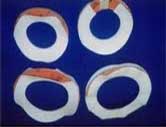 PTFE Envelope Gaskets